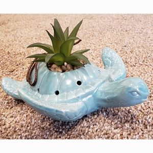 Gorgeous pale blue sea turtle succulent pot
